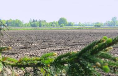 Gastenhuis de Veenstraal