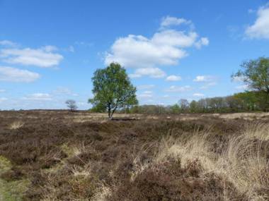 Herberg De Eexter Os