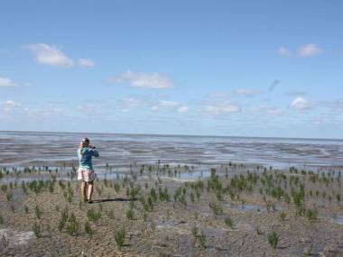 Traditional Villa in Tzummarum near Sea