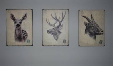 Bed en Breakfast VerdeSud