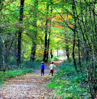 Landhotel de Greune Weide