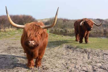 Strandhotel Golfzang