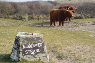 Strandhotel Golfzang