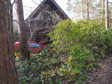 Spacious Holiday Home in Eersel with Open Fire