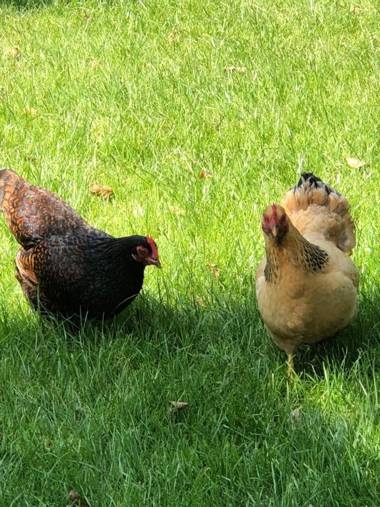 Hotel Restaurant Hof van 's Gravenmoer