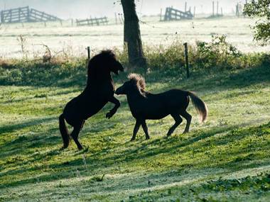 Buitengoed De Uylenburg