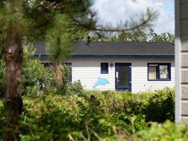 Comfortable chalet in the dune area of Egmond aan Zee
