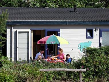 Comfortable chalet in the dune area of Egmond aan Zee
