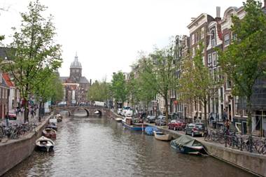 The White Tulip Hostel