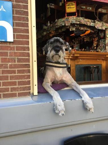 Hotel & bar Royal taste Amsterdam