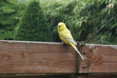 Xaviera's Bed and Breakfast