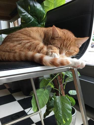 Hotel Mosaic City Centre