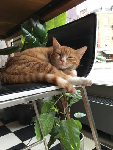 Hotel Mosaic City Centre