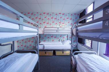 The Flying Pig Downtown