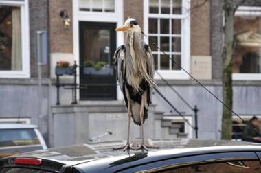 Former Rembrandt workshop two bedroom B&B