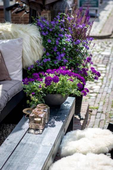 Boutique Hotel Elburg en Tapperij