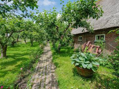 Characteristic headlong hull farm with thatched cover