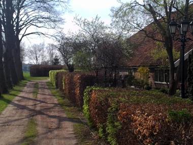 Bed & Breakfast Uiterburen