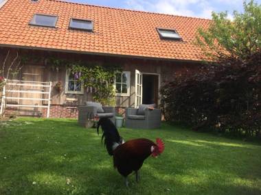 B&B De Pastorie bij Dokkum