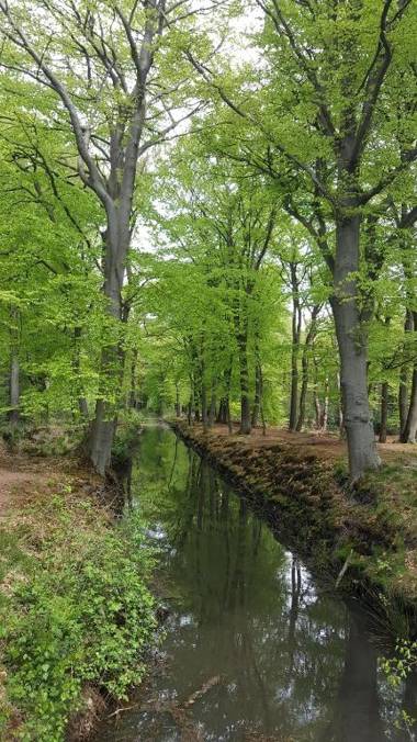 Herberg Boswijck B&B