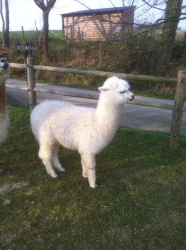 Countryhouse Zuid-Limburg