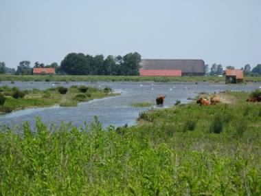 Pure Passie Bed and Breakfast