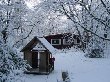 Finse Bungalow 4P Comfort