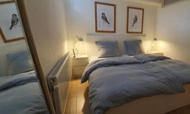 Souterrain The Freesia