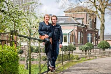 De Os en het Paard