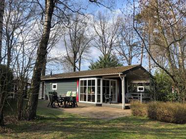 Cozy Boschalet in Voorthuizen with access to swimming pool