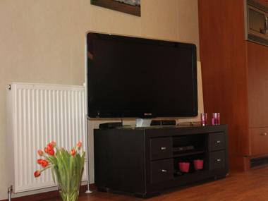 Cozy Boschalet in Voorthuizen with access to swimming pool