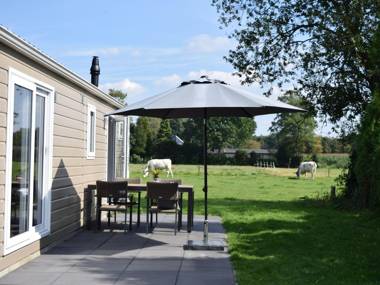 Comfortable and detached chalet with terrace near the Veluwe