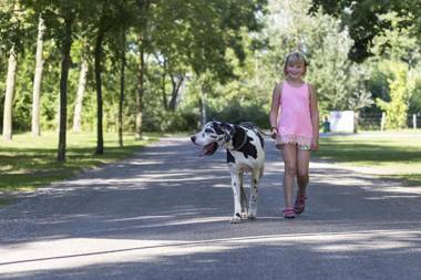 MB Zeeuwse Mobile Home