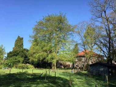 Modern Villa near Forest in Leende
