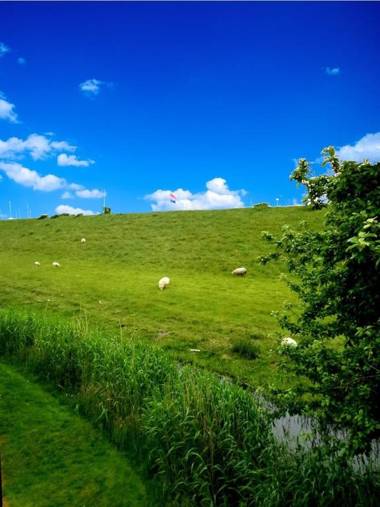 Joke am Deich 6 pers house with equipped terrace behind a dike at Lauwersmeer