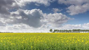 Moushouk Bed and Breakfast