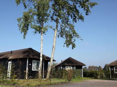 Thatched lodge with a combi microwave in green Twente