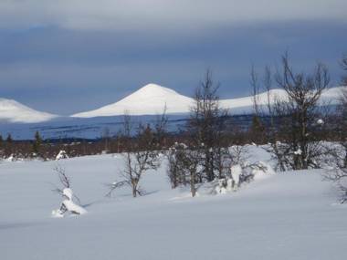 Spidsbergseter Resort Rondane