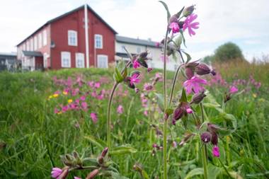 Kjølen Hotel Trysil