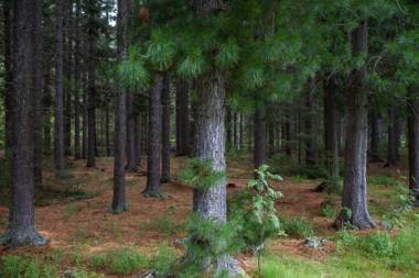 Saltdal Turistsenter