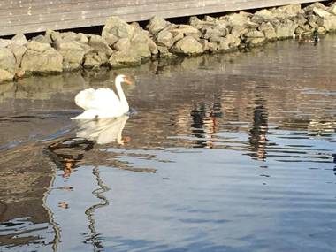 City Center Oslo- Venice Apartment Sea Side Three-Bedrooms and Two Toilettes