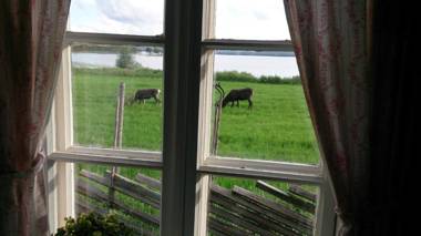 Vestre Sorken Feriegard