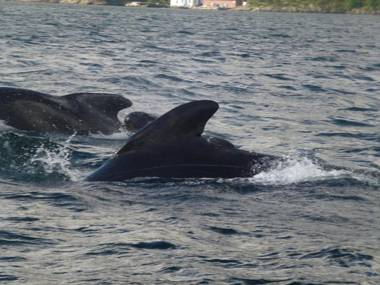 Langenuen Motel & Camping