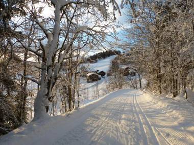 Groven Camping & Hyttegrend