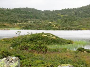 Haukeli Husky Fjellgård