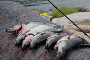 Cool cabins Sandhornøy