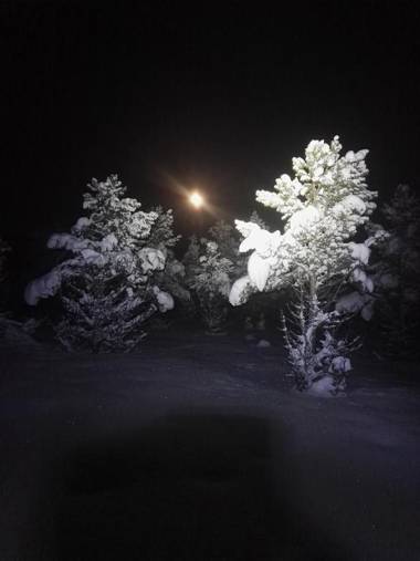 Sjodalen Hyttetun og Camping