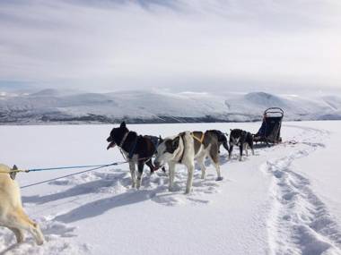 Jotunheimen Husky Lodge
