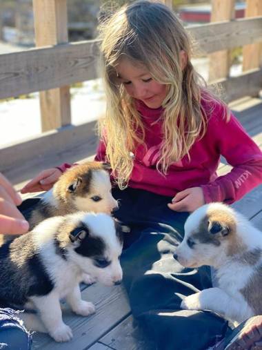 Jotunheimen Husky Lodge