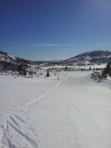 Telemark Inn - Hytte